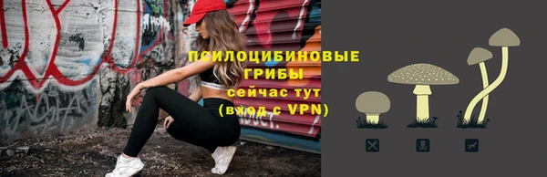 дживик Каменск-Шахтинский