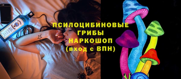 а пвп мука Каменка