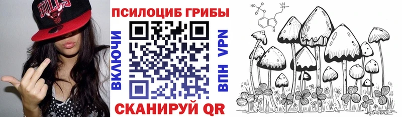 Купить закладки  Соль-Илецк  Псилоцибиновые грибы MAGIC MUSHROOMS 